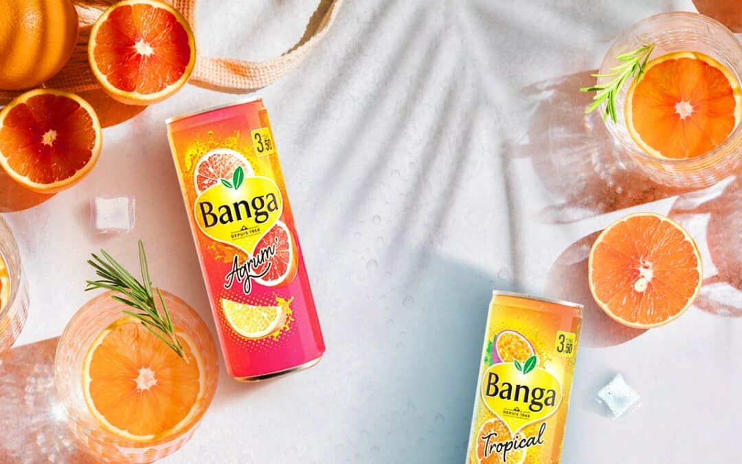 PROJET – Banga