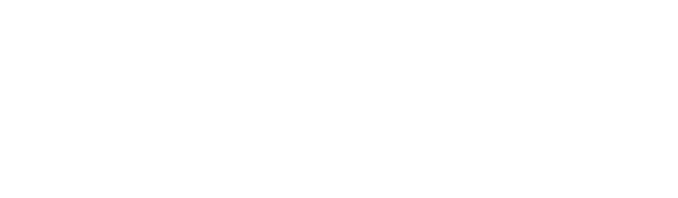 logo cerp