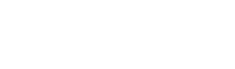 logo demavic