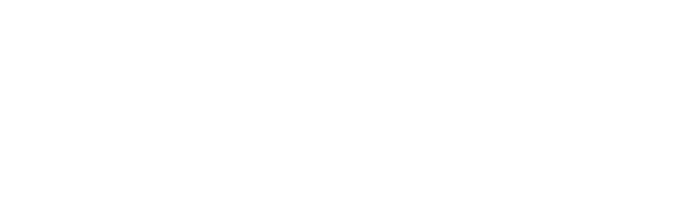 logo zoetis